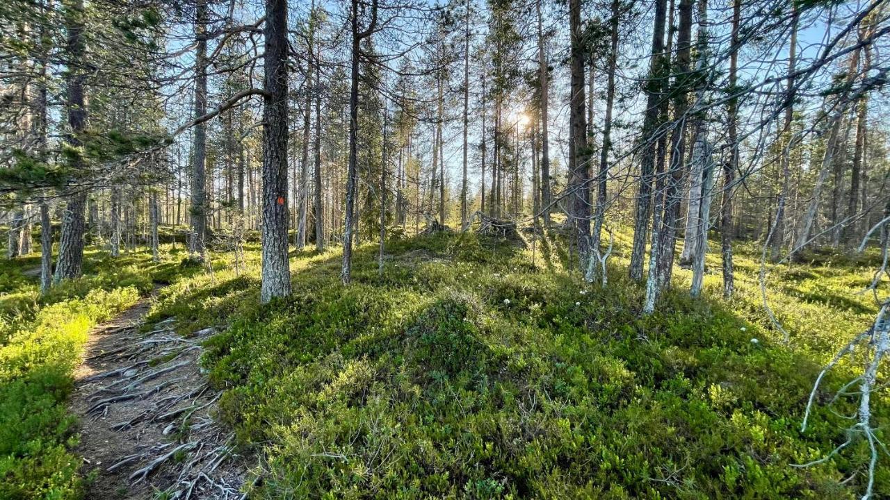 Lapiosalmi Wilderness Center Hotell Posio Eksteriør bilde